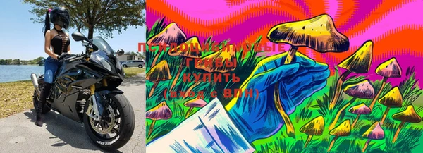 MESCALINE Верея