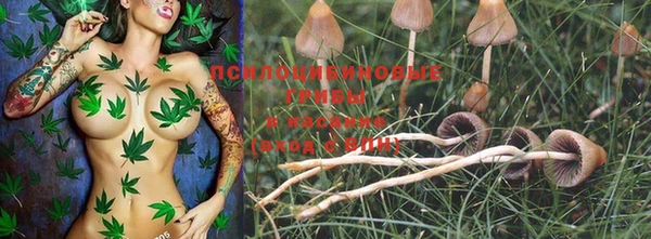 MESCALINE Верея