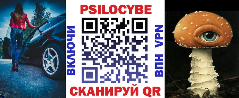 Псилоцибиновые грибы Psilocybe Невьянск